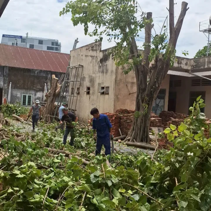 cưa cắt cành cây tại quận 3, tphcm